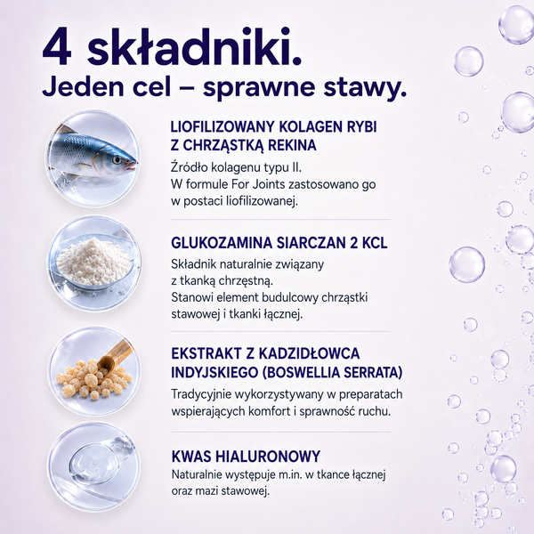 Revous Kolagen per le articolazioni - For Joints Active